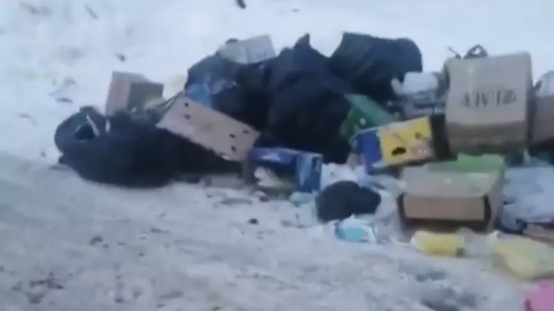 Сахалинка «поймала на горячем» мужчин, вываливших гору мусора в Новоалександровске