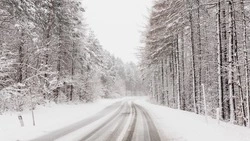 Метель и до -12 градусов спрогнозировали в Южно-Сахалинске в ночь на 16 февраля 