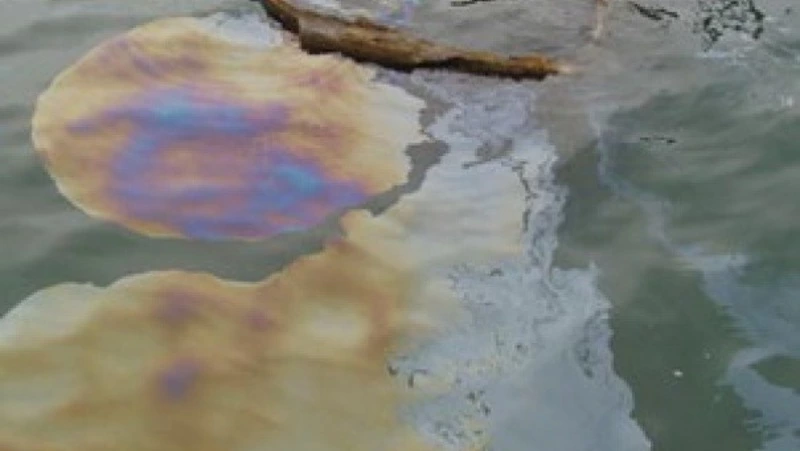 Нефтяные пятна плавают на участке моря в Холмском районе Сахалина