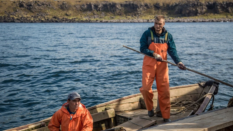 Ученые объяснили причину плохого захода горбуши на нерест в сахалинские реки