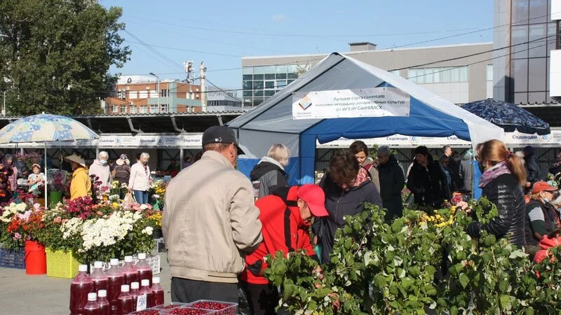Сахалинцам презентовали островные продукты по низким ценам