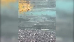 Нашествие красноперки сняли на видео в Корсаковском районе 