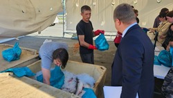 Программе «Доступная рыба» в Сахалинской области поможет отраслевое сообщество