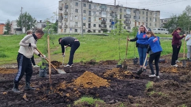Активисты регионального отделения МГЕР высадили 45 саженцев рябины на Сахалине 