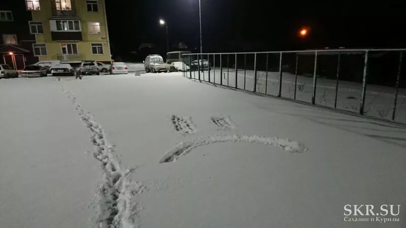 Жители сахалинского села благоустроили двор грустным смайлом