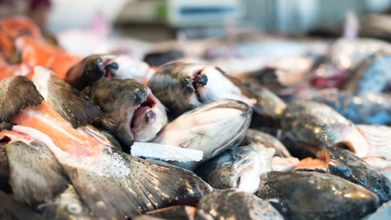 Экспорт морепродуктов из Приморья и с Сахалина вырос в 1,5 раза за неделю