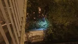 Пьяный водитель вылетел с моста на железную дорогу в Невельске