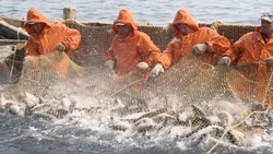 Дальневосточный научно-промысловый совет приступил к работе