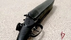 Росгвардейцы изъяли у жителей Сахалина и Курил более 20 единиц оружия за неделю