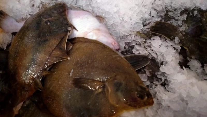 Рыбу по 58 рублей за килограмм привезли в Корсаков утром 21 июня
