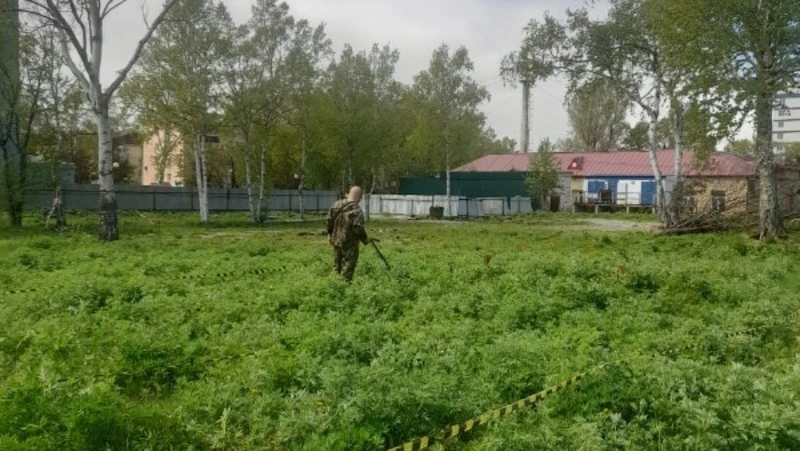 Сахалинцев и курильчан приглашают стать резидентами бизнес-инкубатора