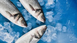 Несколько видов рыбы привезли в 11 торговых точек Южно-Сахалинска