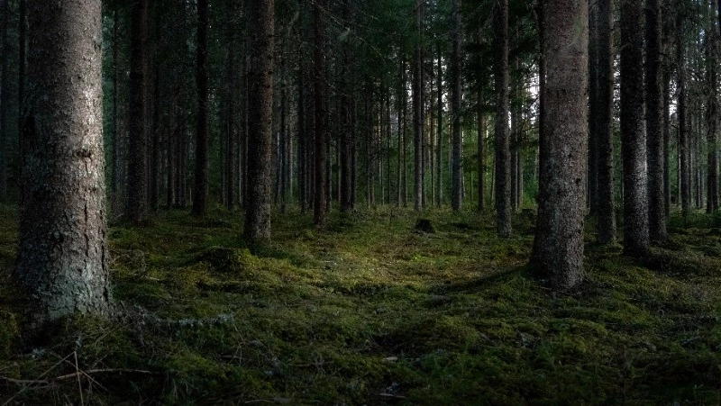 Приметы обо всем на 26 августа 2023 года: что можно и нельзя делать в этот день