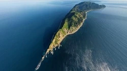 Встреча с вице-премьером и День строителя: анонс недели с губернатором