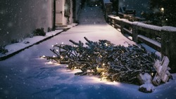 Полицейские поймали сахалинцев, которые украли украшения с новогодней елки