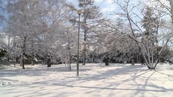 Первый снежный циклон накрыл юг Сахалина 