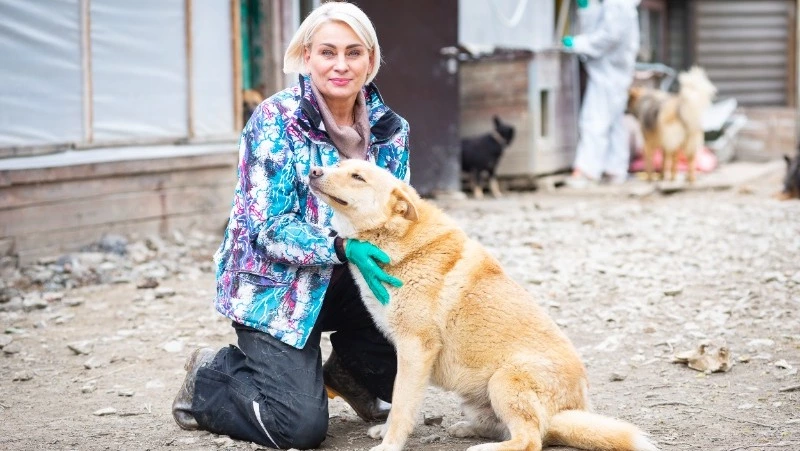 Итоги 2023 года подвели в приюте «Пес и Кот» на Сахалине