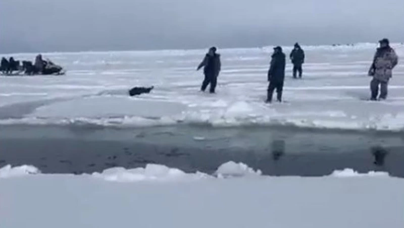 На льдине с рыбаками в Стародубском образовалась еще одна трещина   