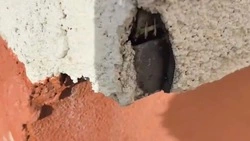 В Холмске жители девятиэтажки пожаловались на некачественный капремонт