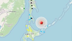 Пять землетрясений за сутки: вблизи Южных Курил фиксируют подземные толчки