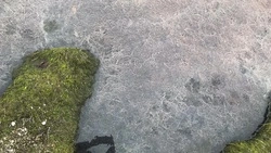 Опасные голубые водоросли в сахалинском озере Тунайча превратились в розовые