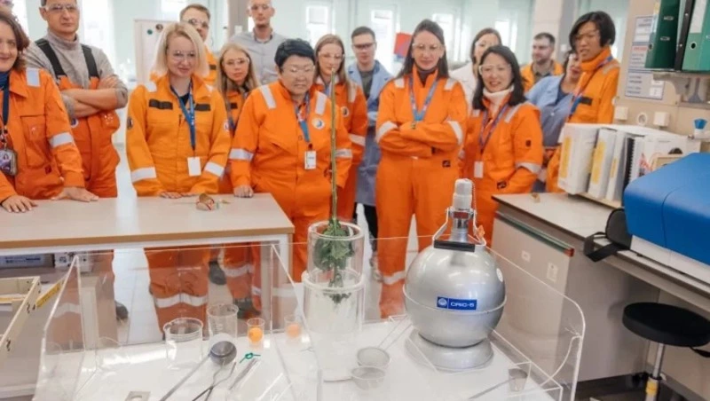 Завод по сжижению газа на Сахалине будет принимать туристов