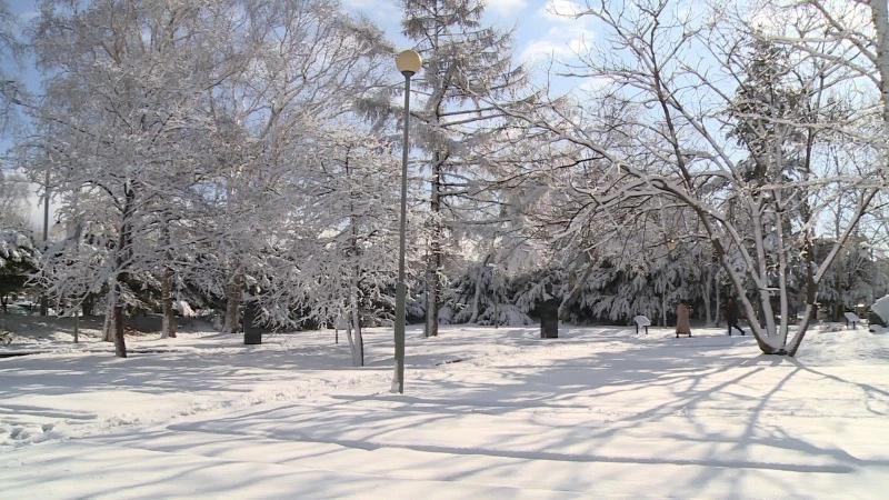 Первый снежный циклон накрыл юг Сахалина 