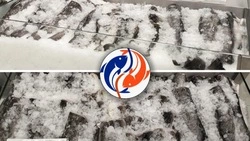 Продажи рыбы по социальным ценам организовали в 8 районах Сахалина и Курил 12 декабря