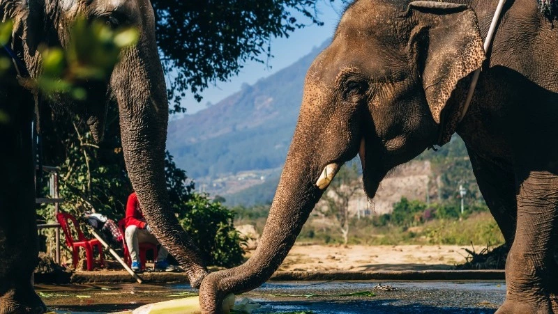 13 марта 2024 года, среда: какой сегодня праздник, что было в этот день