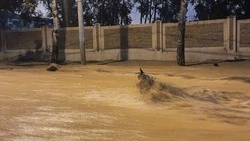 Линейки в День знаний отменили в Южно-Сахалинске из-за непогоды