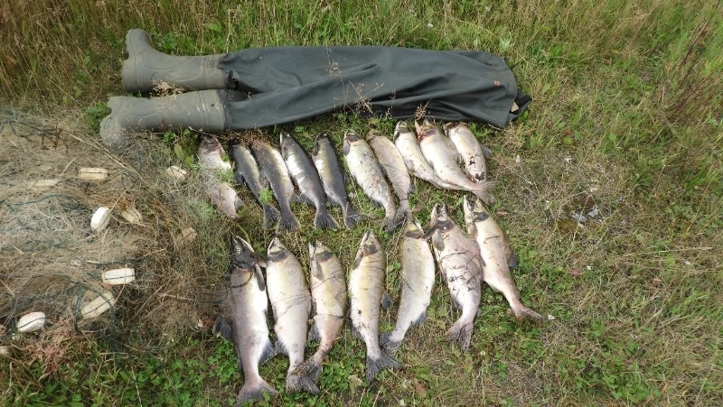 У браконьеров в Макаровском районе изъяли более 19 килограммов икры горбуши 