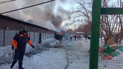 Губернатор прокомментировал пожар в крупнейшем на Сахалине приюте для животных