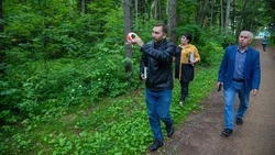 Аварийные деревья снесут в городском парке Южно-Сахалинска