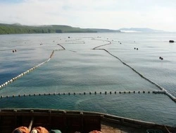 Рыбопромышленника накажут за смерть сотрудника на севере Сахалина