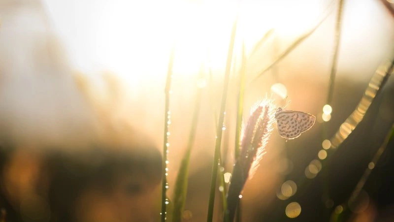 В Сахалинской области синоптики прогнозируют потепление до +17 градусов 16 апреля 