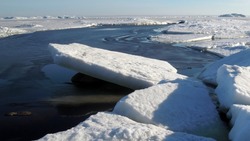 Лед на побережье Сахалина опасен для рыбаков 18 февраля