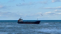 Агентство по ГО и ЧС рассказало подробности о происшествии с танкером возле Сахалина