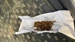 ГИБДД задержала мужчину с наркотиками и без водительских прав в Южно-Сахалинске