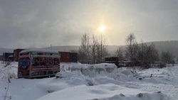 Небольшой снегопад спрогнозировали в Южно-Сахалинске 21 января