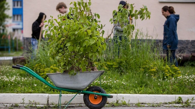В Южно-Сахалинске взялись за озеленение пришкольных участков