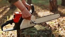 «Я тебя распилю»: житель Долинска угрожал знакомому металлической трубой, битой и пилой