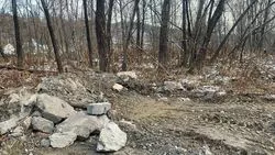 Подрядчик снес дом и выкинул мусор в лес на юге Сахалина