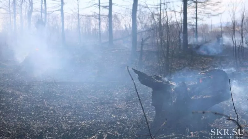Пожар в окрестностях Южно-Сахалинска оказался более серьезным, чем казался