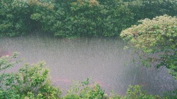Проливные дожди пообещали жителям Курильских островов 1 сентября
