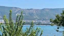 «МегаФон»: сайт аэропорта Геленджика стал бесплатным для абонентов