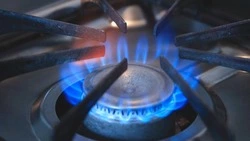 Германия начала платить рублями за российский газ