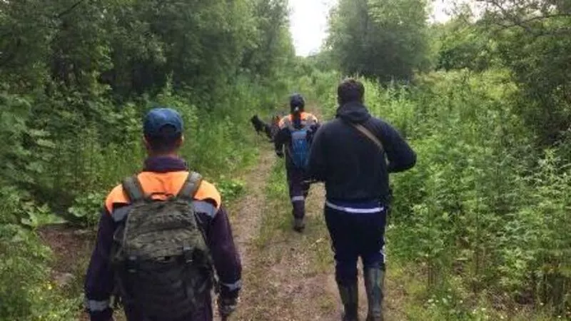 69-летнего пастуха третий день ищут на Сахалине