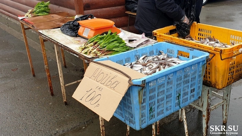 Где уек? Рыбу тоннами выбросило на берег, но на прилавках сахалинских магазинов ее почти нет