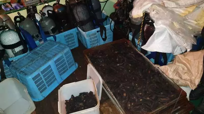 Возле Кунашира задержали холмское судно с нелегальным грузом трепанга