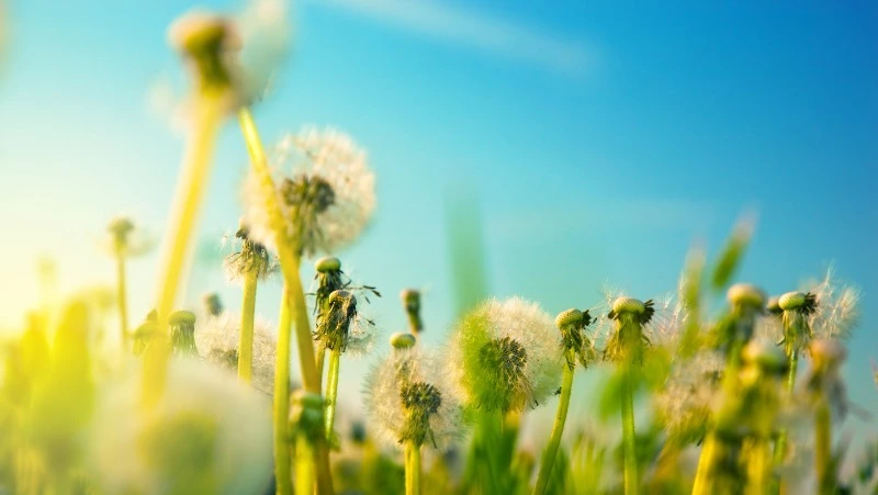 Приметы обо всем на 16 июня 2023 года: что можно и нельзя делать в этот день